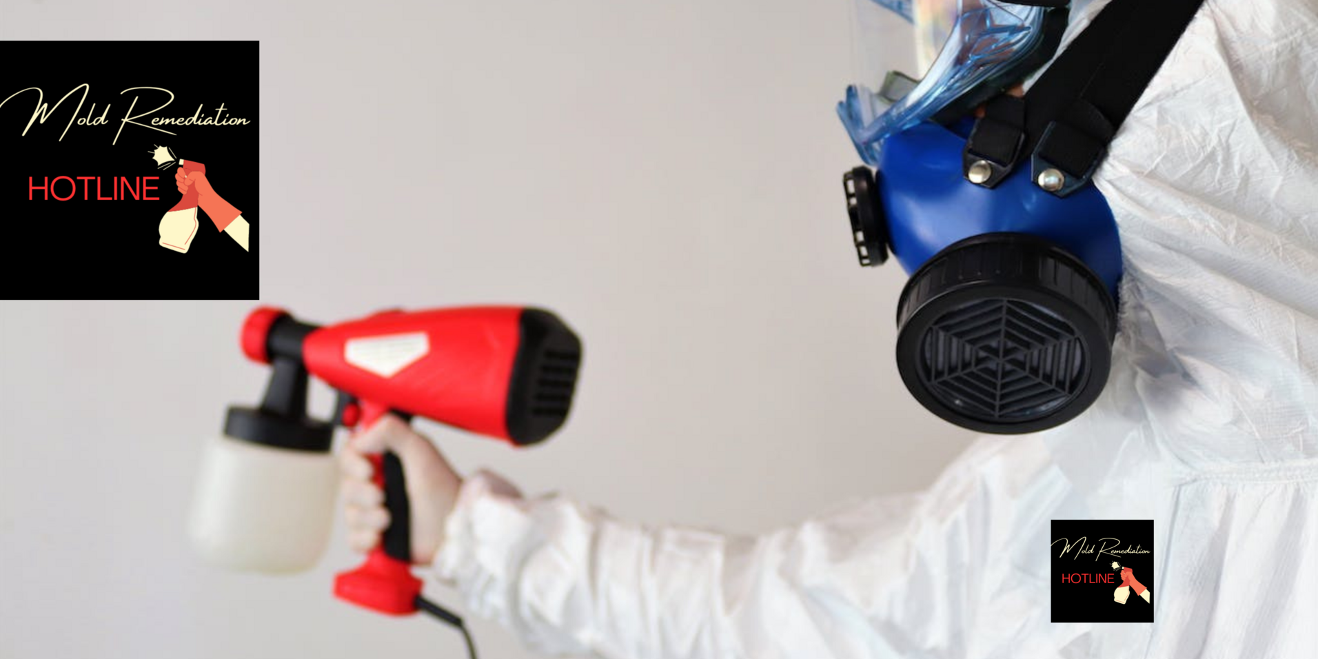 our mold remediation services
