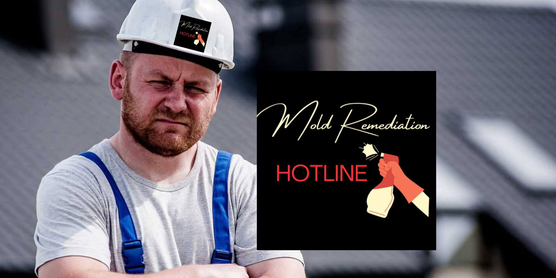 Contact us now Mold Remediation Hotline