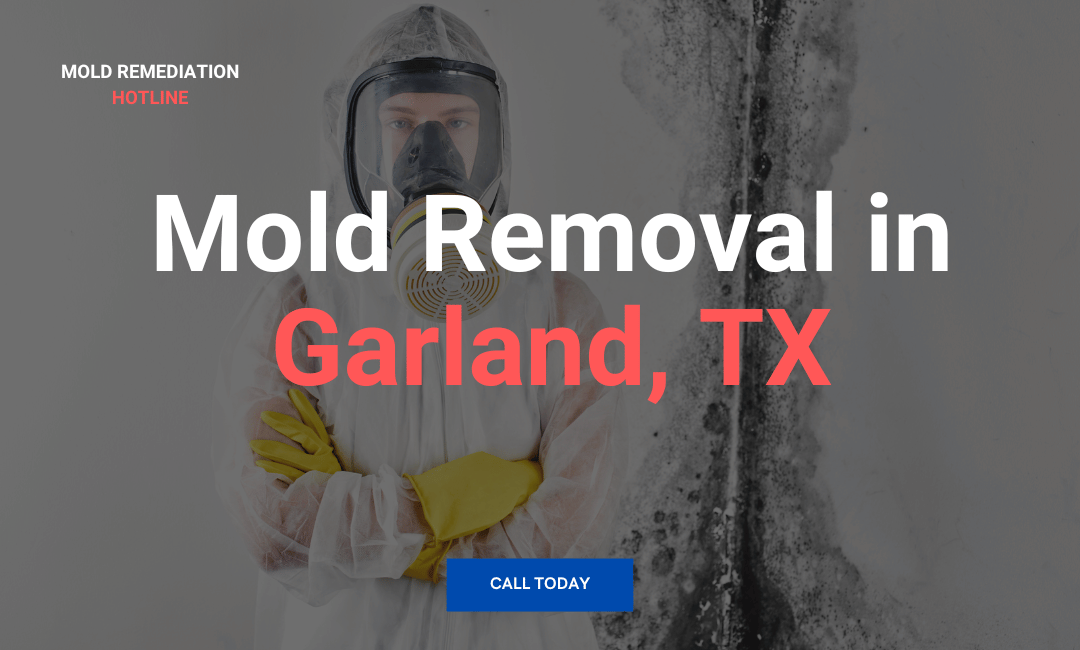 Mold Removal in Garland, TX