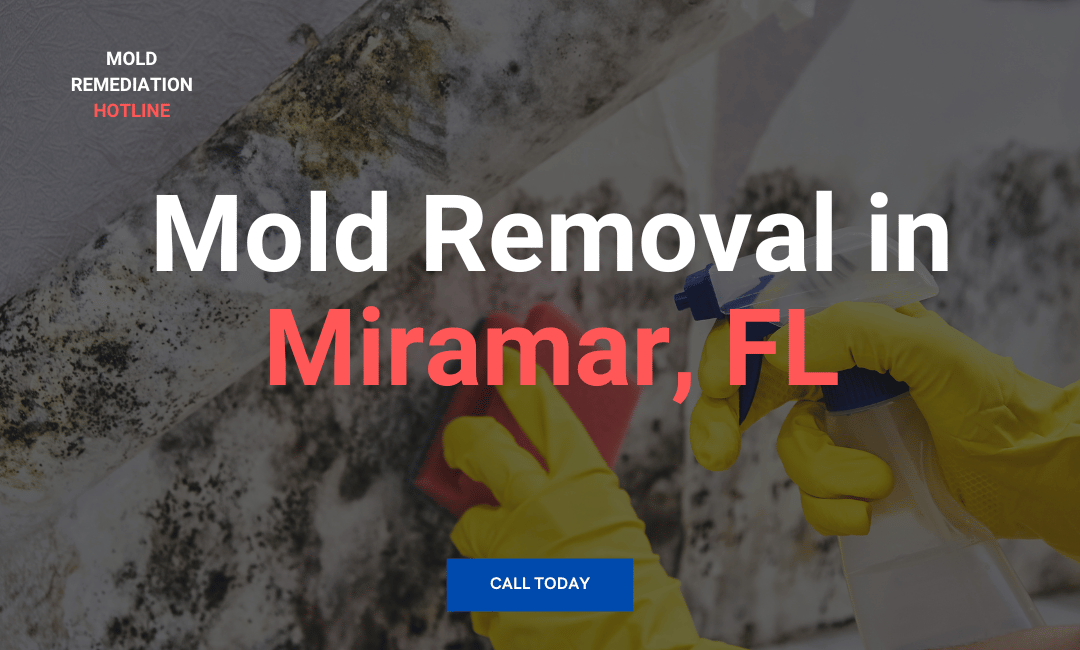 Mold Removal in Miramar, FL