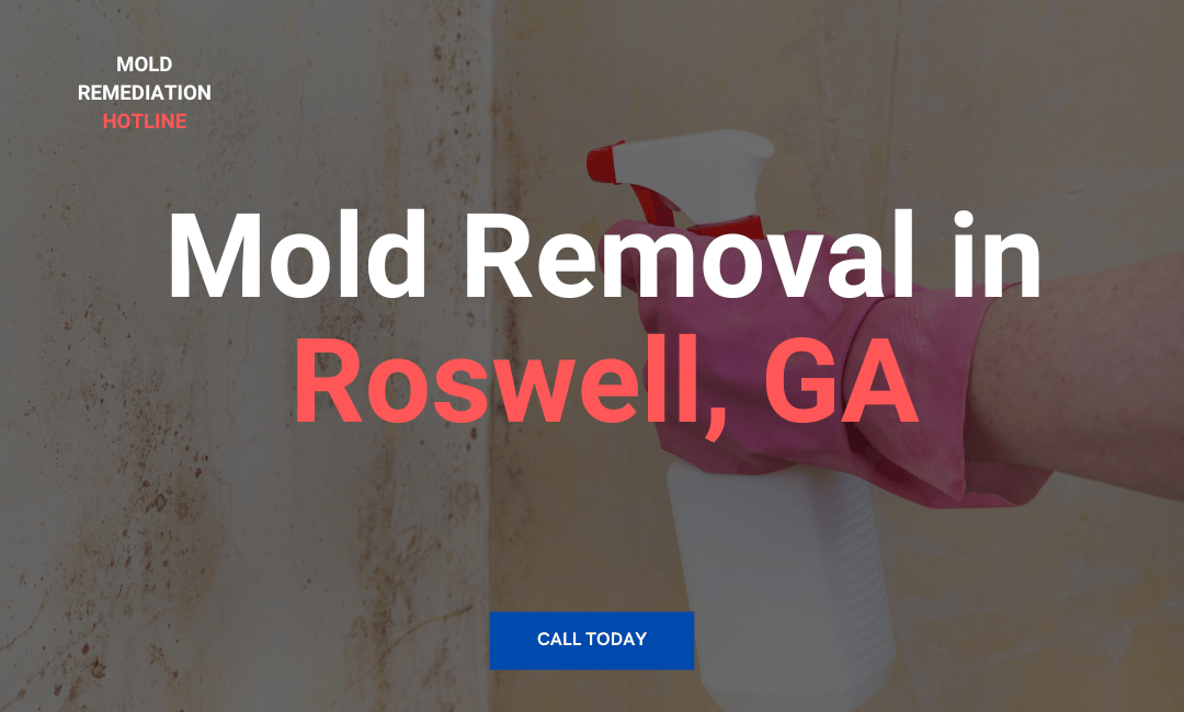 Mold Removal in Roswell, GA