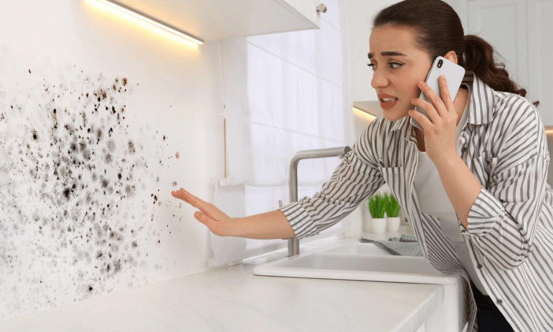 urgent need for mold removal in garland tx