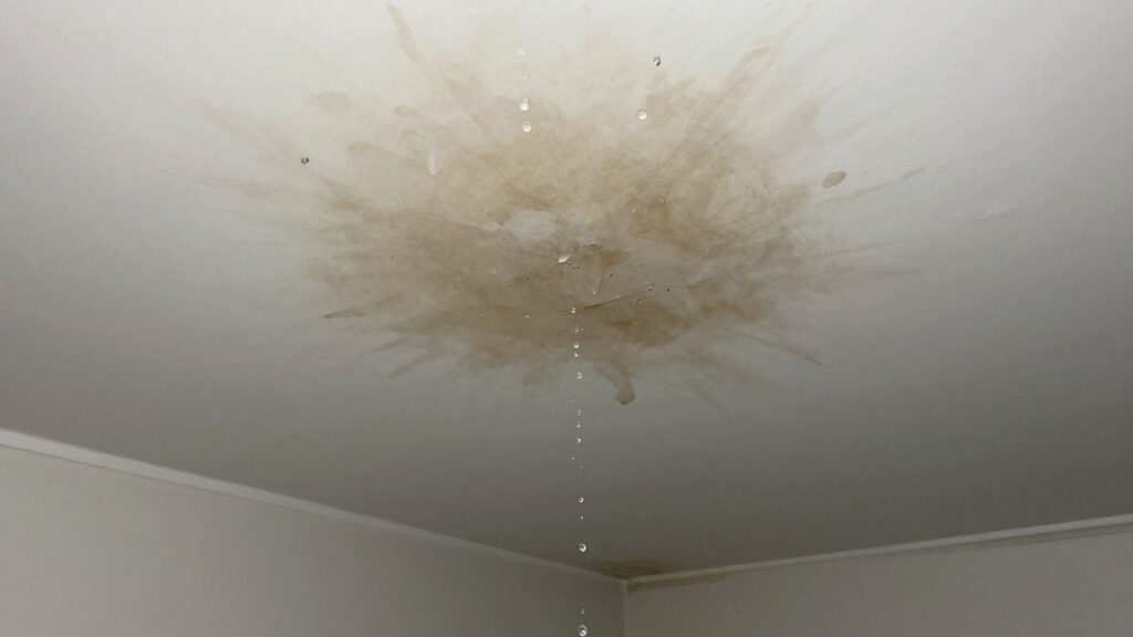 Water damage stain on a ceiling with dripping water.