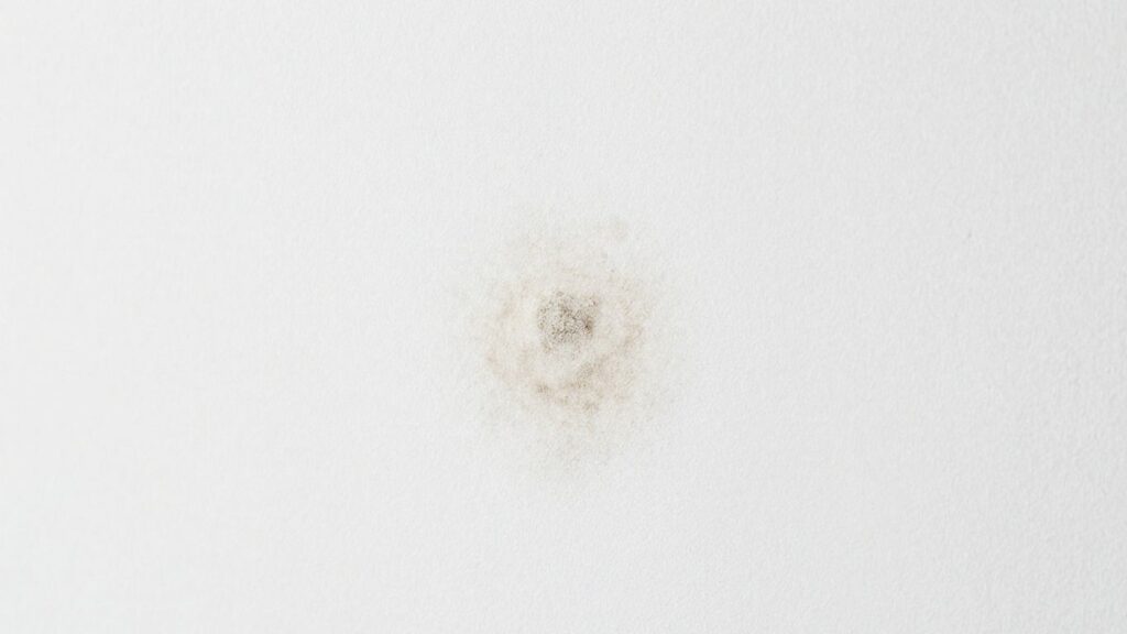Clean wall after effective mold removal